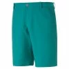 Puma Dealer Shorts - 8 Inch -Golf Clubs Shop puma dealer shorts 8 inch green lagoon 01 45074.1678213419