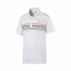Puma Mattr Canyon Polo 2 Puma Mattr Canyon Polo -Golf Clubs Shop puma mattr canyon polo white ski patrol 01 01051.1662137881